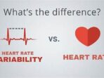 rate comparison calculator quantifying the difference between cit bank and the norm 61dd70bb1 1