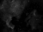 the symphony of stars and shadows interweaving the night sky with zoo life c37f32103 1