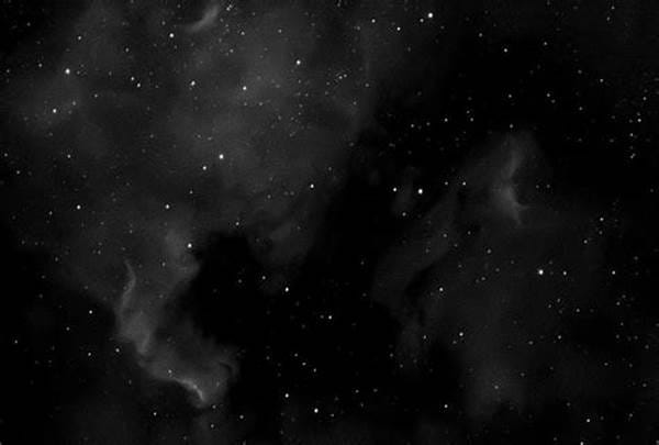the symphony of stars and shadows interweaving the night sky with zoo life c37f32103 1