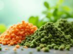 fish food pellet recipe e7783d050
