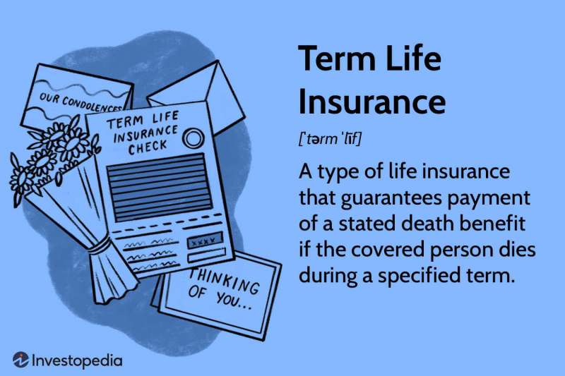 insurance policy d23618cea