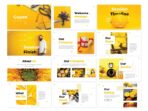 the marketing materials 48b4d19b0