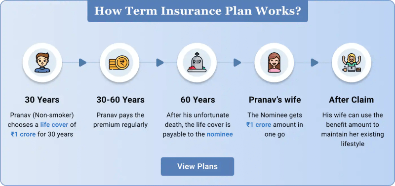 what is premium amount in insurance db3604135