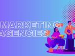 the marketing consultancy 12650ceac