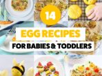 food recipes for fussy kids 503422752