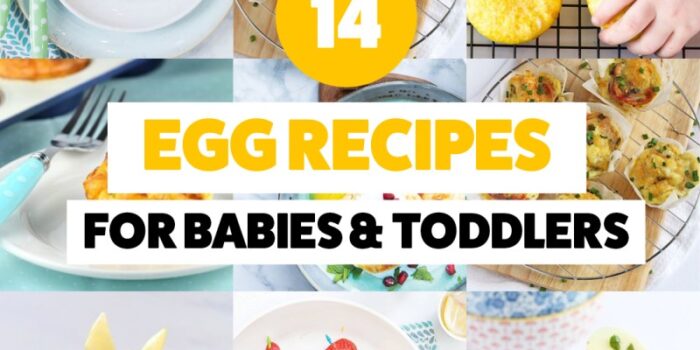food recipes for fussy kids 503422752