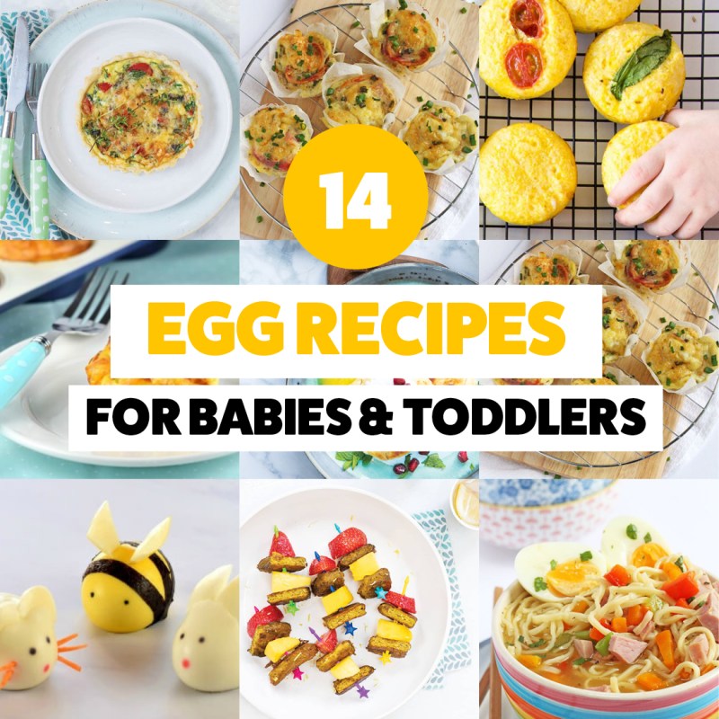 food recipes for fussy kids 503422752