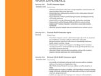health insurance agent 8c48443bf