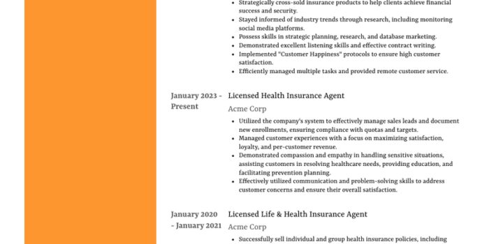 health insurance agent 8c48443bf
