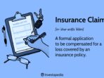 insurance meaning of c94477485