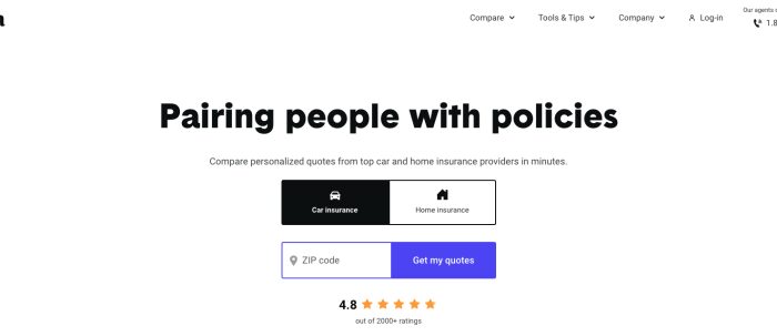 insurance zebra 48b504591