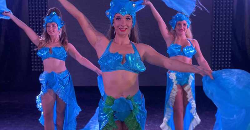 services offered by evening entertainment group 5e642a47a